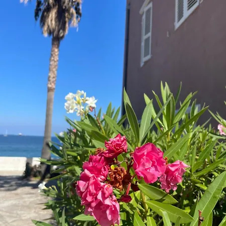 Villa Batisse En Front De Saint-Florent (Corsica)